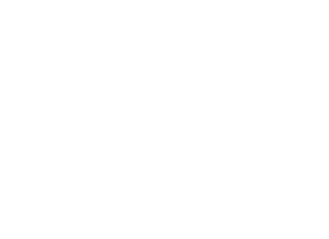 EchoBridge